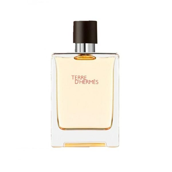 TERRE D'HERMÉS 100 ML EDT