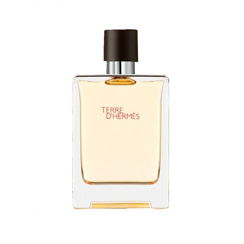 TERRE D'HERMÉS 100 ML EDT